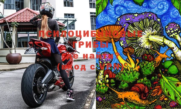 мдпв Калининец