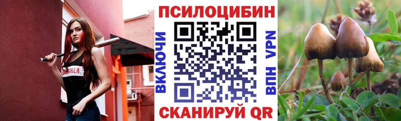 Купить  Вуктыл  Галлюциногенные грибы Psilocybine cubensis 